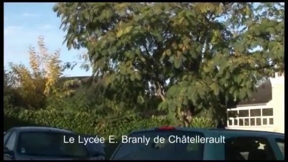 Vétérinaire, un métier qui a du chien