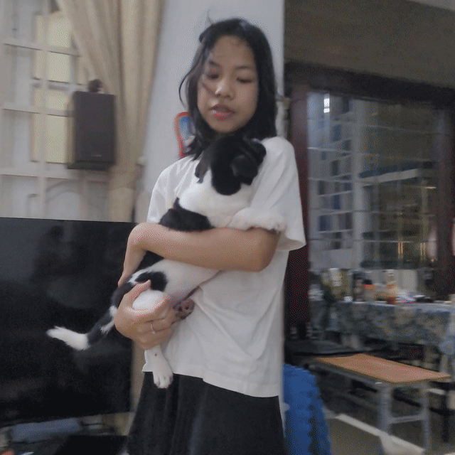 Chó con dễ thương và háu ăn. Mua bán Chó tại Quận Hải Châu Đà Nẵng được đăng bởi Tâm Hải Châu hình 1