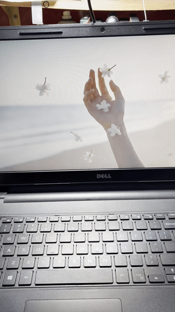 bán.laptop.dell. d4-8GB/ssd120-500g.vga2g. Mua bán Laptop tại Huyện Lộc Ninh Bình Phước được đăng bởi duy second hand hình 1