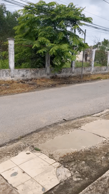 Cho thuê Nhà ở Huyện Long Thành Đồng Nai diện tích 580 m² giá 15 triệu/tháng