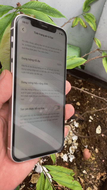 Apple iPhone 12 128GB Trắng may 98%. Mua bán Điện thoại tại Quận 10 Tp Hồ Chí Minh được đăng bởi Thịnh hình 1