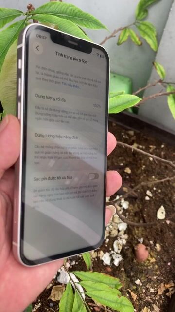 Apple iPhone 12 128GB Trắng may 98%. Mua bán Điện thoại tại Quận 10 Tp Hồ Chí Minh được đăng bởi Thịnh hình 1