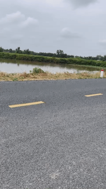 Mua bán Đất Huyện Mỹ Xuyên Sóc Trăng diện tích 5000 m² giá 3 tỷ