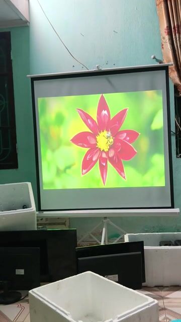 Máy chiếu Optoma PJ638X Đã sử dụng. Mua bán Đồ dùng văn phòng tại Huyện Thuỷ Nguyên Hải Phòng được đăng bởi Quang Hải hình 1