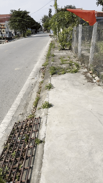 Mua bán Đất Huyện An Dương Hải Phòng diện tích 76 m² giá 1,35 tỷ