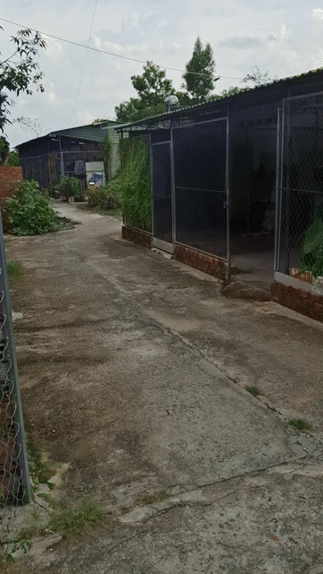 Cho thuê Phòng trọ Thành phố Tây Ninh Tây Ninh diện tích 32 m² giá 1,2 triệu/tháng