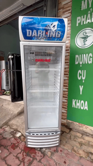 Tủ mát Darling DL 3600A5 Inverter 380L Bảo hành 6t. Mua bán Tủ lạnh tại Quận Gò Vấp Tp Hồ Chí Minh được đăng bởi Điện Máy Phát Đạt hình 1