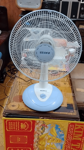 Quạt bàn SENKO B1613 tốt đẹp . Mua bán Quạt tại Quận Tân Bình Tp Hồ Chí Minh được đăng bởi AHuy hình 1