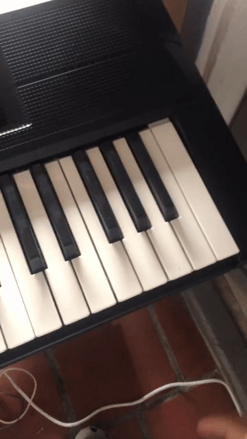 Đàn organ Yamaha PSR-F50 Đen. Mua bán Nhạc cụ tại Huyện Tân Hiệp Kiên Giang được đăng bởi Paylac Enthich hình 1
