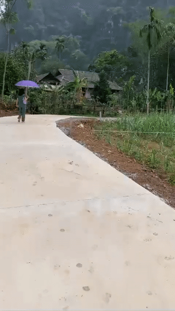 Mua bán Đất Huyện Thanh Thuỷ Phú Thọ diện tích 428.6 m² giá 499 triệu