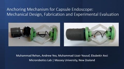 Anchoring Mechanism for Capsule Endoscope