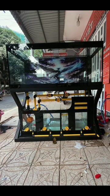 Dịch vụ lắp đặt bể cá. Dịch vụ tại Quận Ninh Kiều Cần Thơ được đăng bởi Hồ Cá Công Nghệ Mới hình 1