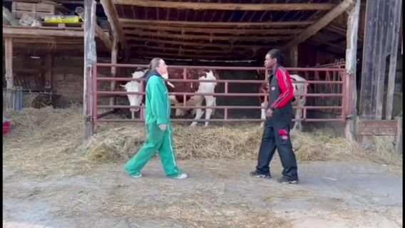 La découverte du métier d'agriculteur et l'agriculture d'aujourd'hui !