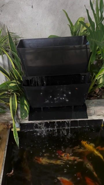 bơm và baki dàn mưa. Mua bán Thú cưng khác tại Huyện Đông Anh Hà Nội được đăng bởi Trần văn đạt hình 1