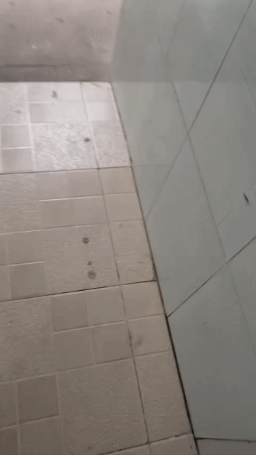 Cho thuê Phòng trọ Quận 7 Tp Hồ Chí Minh diện tích 12 m² giá 1,6 triệu/tháng