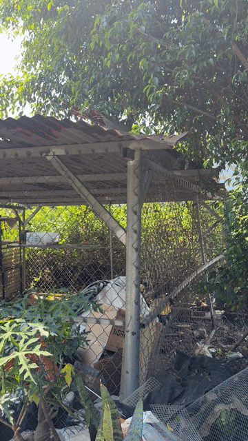 Chuồng chim lưới thép, tôn. Mua bán Phụ kiện, Thức ăn, Dịch vụ tại Huyện Trảng Bom Đồng Nai được đăng bởi Tùng Nguyễn  hình 1