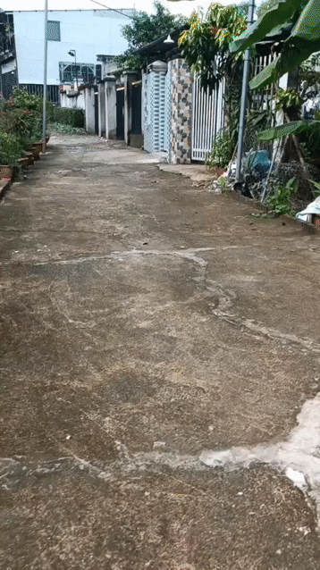 Mua bán Nhà ở Huyện Nhơn Trạch Đồng Nai diện tích 168 m² giá 3,1 tỷ