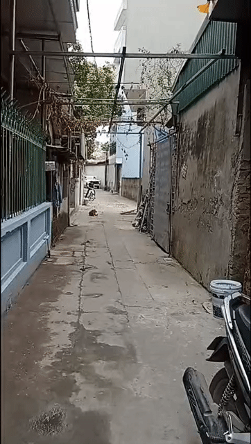 Mua bán Đất Huyện Thanh Trì Hà Nội diện tích 37 m² giá 4,5 tỷ