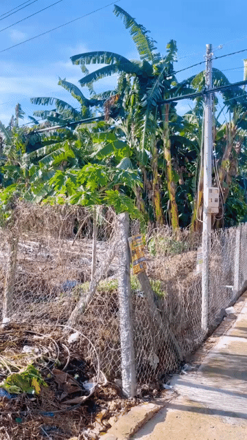 Mua bán Đất Huyện Cai Lậy Tiền Giang diện tích 2800 m² giá 24 tỷ