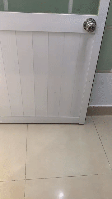 Cho thuê Phòng trọ Quận Gò Vấp Tp Hồ Chí Minh diện tích 30 m² giá 4,6 triệu/tháng