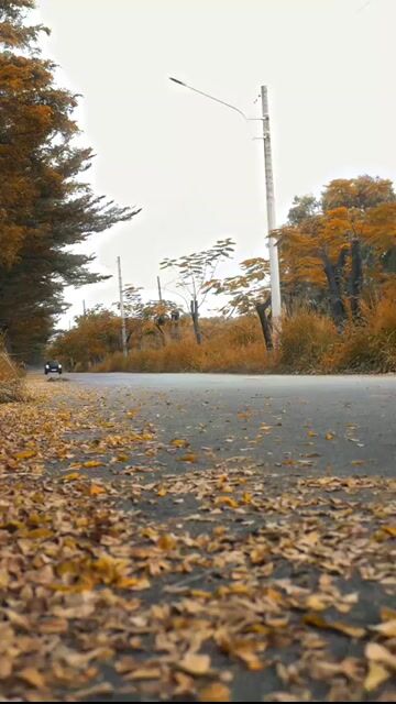 LONG ANH AUTO về Porsche Macan model 2022 👍. Mua bán Ô tô tại Quận 7 Tp Hồ Chí Minh được đăng bởi LongAnh AuTo  hình 1