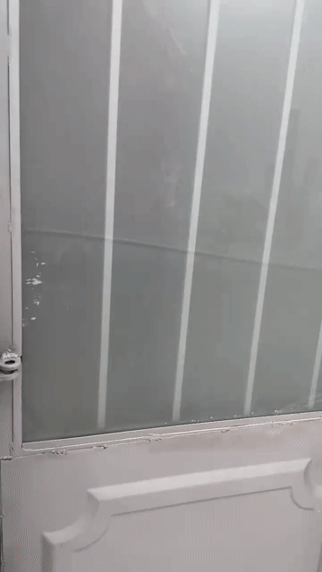 Cho thuê Phòng trọ Quận Tân Bình Tp Hồ Chí Minh diện tích 12 m² giá 2 triệu/tháng