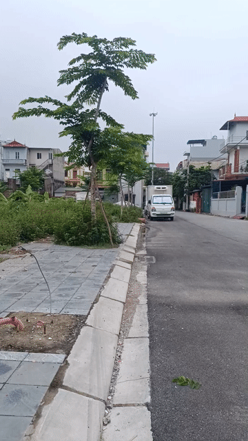 Mua bán Đất Huyện Đông Anh Hà Nội diện tích 80 m² giá 9 tỷ