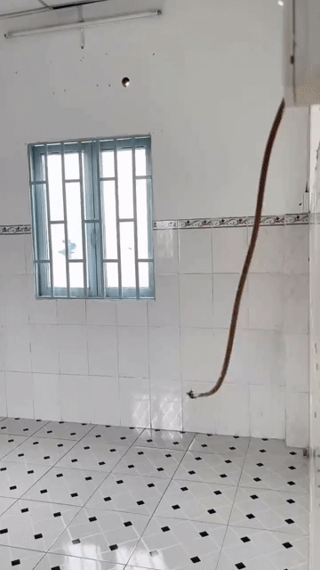Cho thuê Nhà ở Huyện Hóc Môn Tp Hồ Chí Minh diện tích 110.4 m² giá 7 triệu/tháng