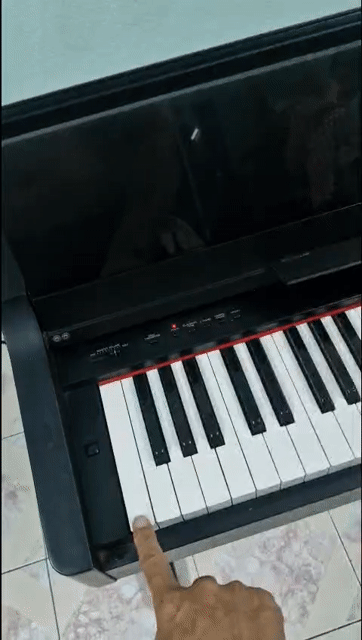 Đàn Piano điện Yamaha Clavinova CLP-121 Nhật Bản. Mua bán Nhạc cụ tại Quận Tân Phú Tp Hồ Chí Minh được đăng bởi  Kiều  hình 1