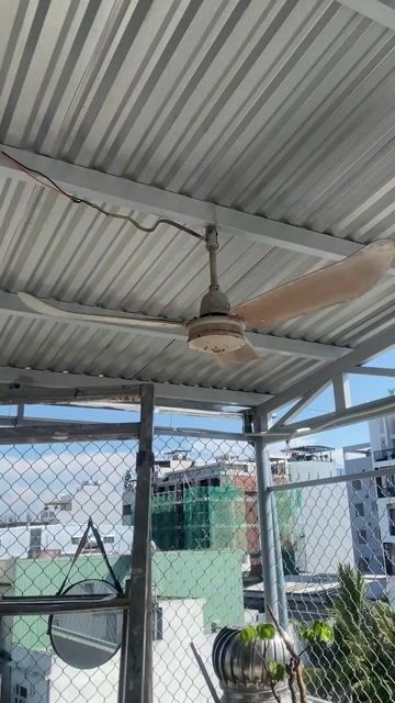Quạt trần cổ cánh gỗ Nâu 110V. Mua bán Quạt tại Quận Ngũ Hành Sơn Đà Nẵng được đăng bởi Nguyên văn Đại hình 1