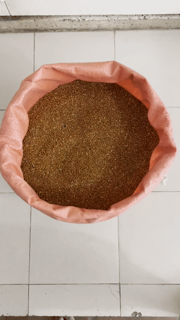 KÊ ĐỎ KÊ VÀNG HẠT VỪA SỈ LẺ. Mua bán Phụ kiện, Thức ăn, Dịch vụ tại Quận 3 Tp Hồ Chí Minh được đăng bởi Minh Đoàn hình 1