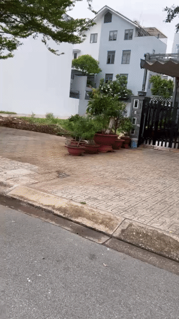 Mua bán Đất Quận 8 Tp Hồ Chí Minh diện tích 100 m² giá 2,89 tỷ