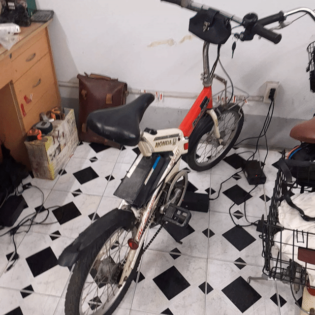Xe đạp trợ lực  Honda Racoon nguyên bản . Mua bán Xe đạp tại Quận Tân Phú Tp Hồ Chí Minh được đăng bởi Người Sưu Tầm hình 1
