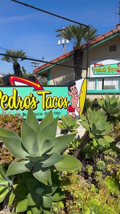 Nothing like fish tacos by the coast 🎣 @joseacevedo @rcaldera 