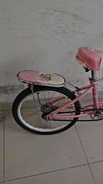 Xe đạp Xaming Nữ màu Hồng. Mua bán Xe đạp tại Quận Tân Bình Tp Hồ Chí Minh được đăng bởi Hùng hình 1