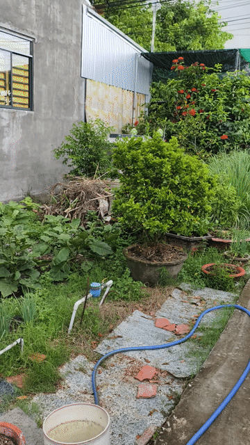 Mua bán Đất Thoại Sơn Central Huyện Thoại Sơn An Giang diện tích 70 m² giá 300 triệu