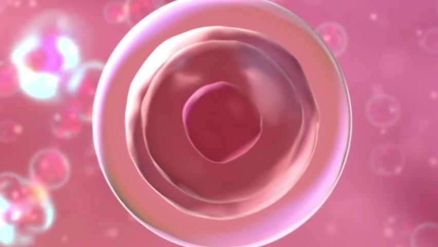 Biotechnology & MedTech