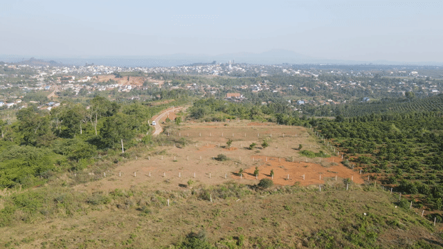 Mua bán Đất Huyện Đắk Mil Đắk Nông diện tích 3000 m² giá 550 triệu