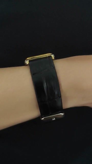 Đồng hồ Seiko Quartz Tank 23mm. Mua bán Đồng hồ tại Huyện Cầu Kè Trà Vinh được đăng bởi Truong Icarus hình 1