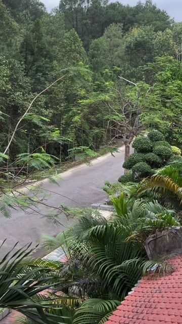 Honda Accord 1987 màu Xám. Mua bán Ô tô tại Thành phố Huế Thừa Thiên Huế được đăng bởi An Định hình 1