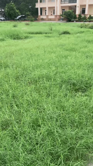 Cho thuê Văn phòng, Mặt bằng kinh doanh Quận Thanh Khê Đà Nẵng diện tích 60 m² giá 4 triệu/tháng