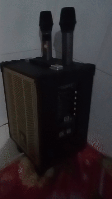 Loa karaoke Bluetooth Đen. Mua bán Tivi, Âm thanh tại Huyện Phú Tân An Giang được đăng bởi Huỳnh Công Luận  hình 1