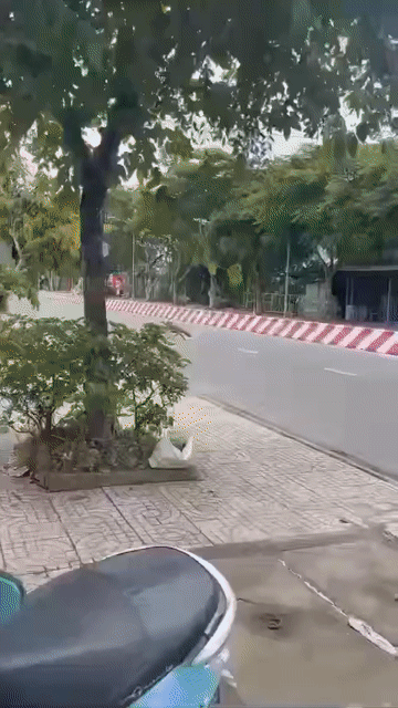 Cho thuê Nhà ở Huyện Thoại Sơn An Giang diện tích 100 m² giá 3 triệu/tháng