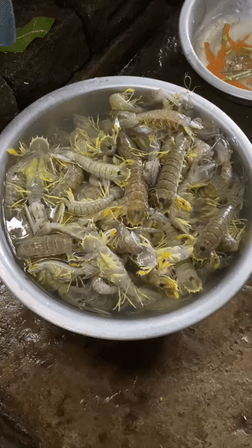 Mực trứng biển và tôm tít tươi ngon. Mua bán Đồ ăn, thực phẩm và các loại khác tại Thành phố Thủ Đức Tp Hồ Chí Minh được đăng bởi Viet Nguyen hình 1