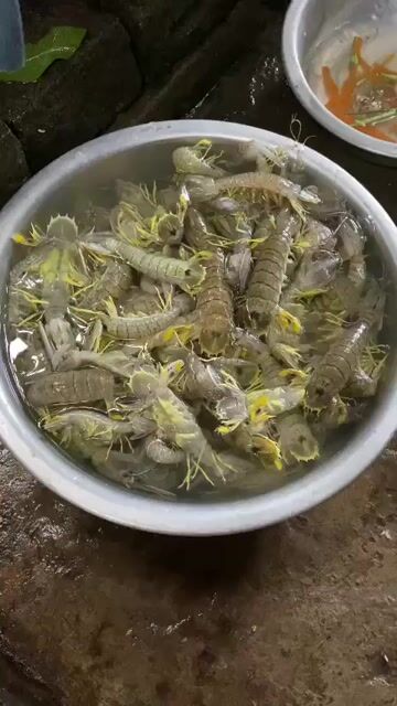 Mực trứng biển và tôm tít tươi ngon. Mua bán Đồ ăn, thực phẩm và các loại khác tại Thành phố Thủ Đức Tp Hồ Chí Minh được đăng bởi Viet Nguyen hình 1