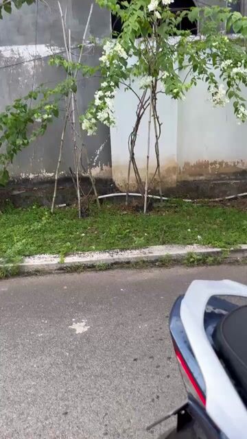 Honda Future 125 Fi màu Xanh. Mua bán Xe máy tại Huyện Trảng Bom Đồng Nai được đăng bởi Của Hàng Xe Máy U Phong hình 1