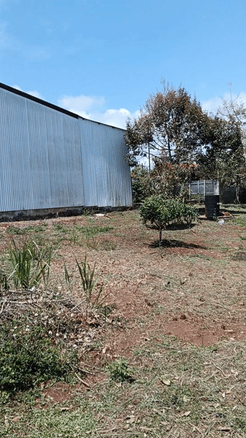 Mua bán Đất Thị Xã Buôn Hồ Đắk Lắk diện tích 1180 m² giá 5,3 tỷ