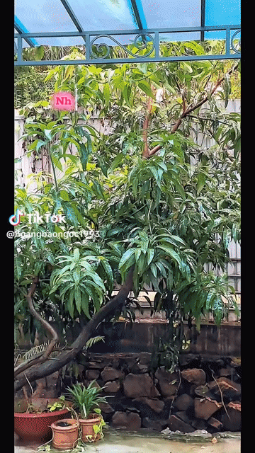 Mua bán Nhà ở Thành phố Thủ Dầu Một Bình Dương diện tích 30 m² giá 2,2 tỷ