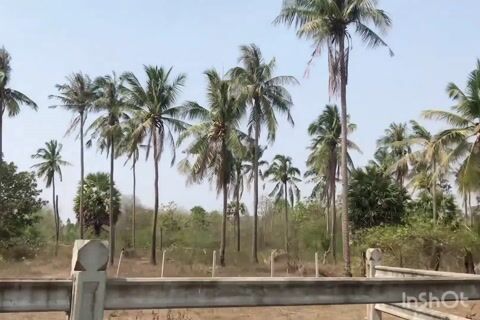 À la découverte d'un métier ancestral