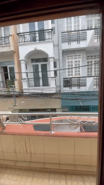 Cho thuê Nhà ở Quận Gò Vấp Tp Hồ Chí Minh diện tích 35 m² giá 7,5 triệu/tháng